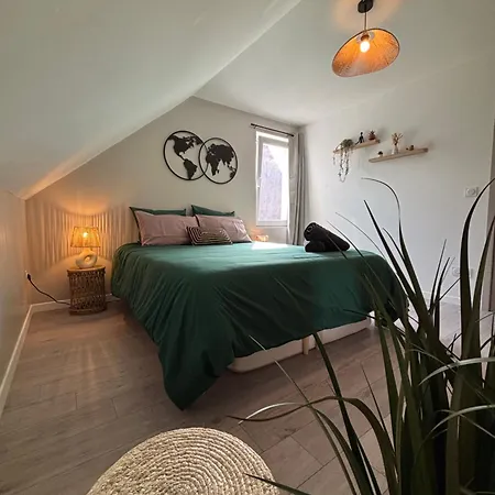 Le Col'vert - 50m2 - Centre Colmar