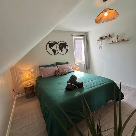 Le Col'vert - 50m2 - Centre Appartement Colmar