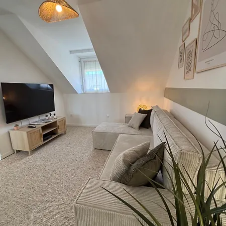 Le Col'vert - 50m2 - Centre Lägenhet Colmar